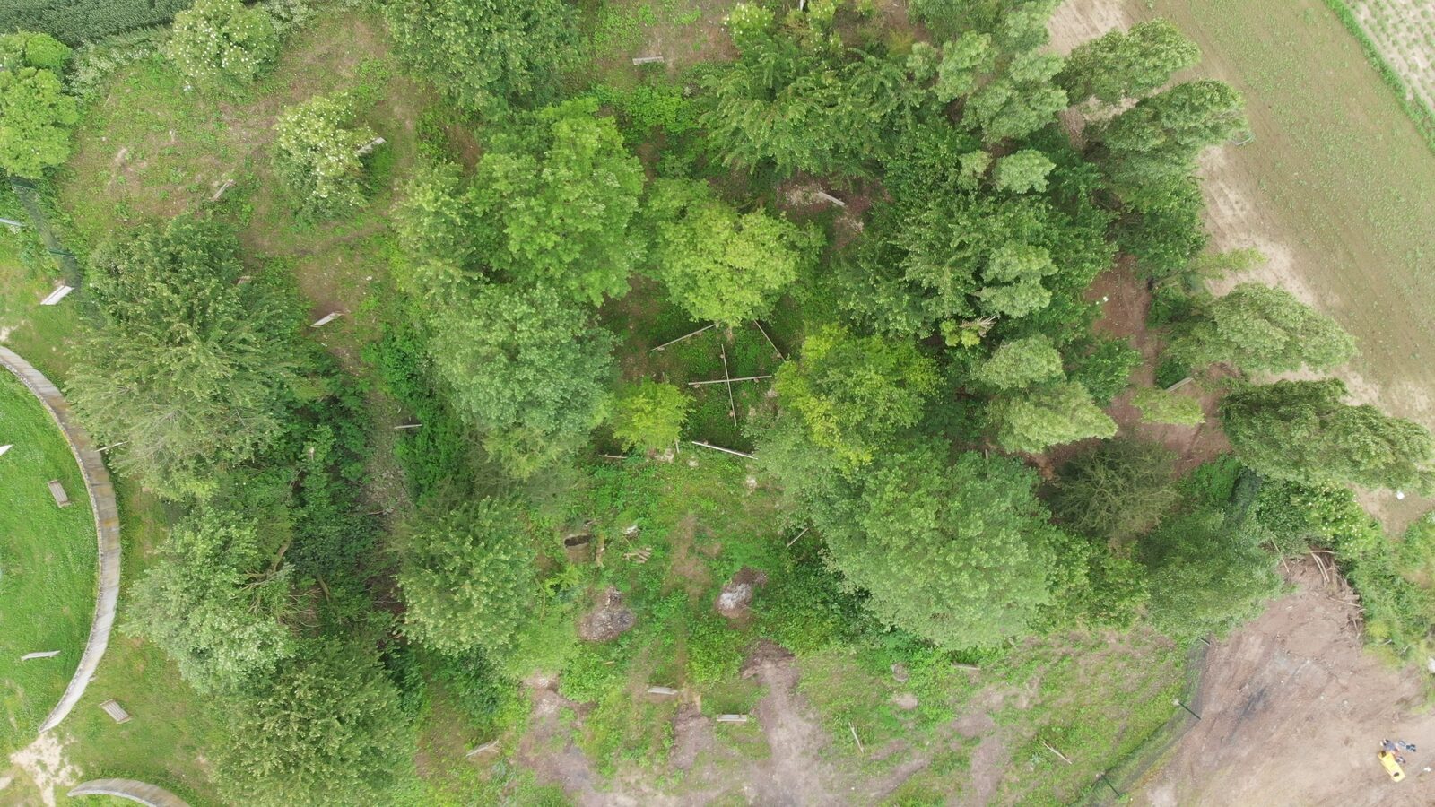 Terrain paintball La Forêt — Team Square